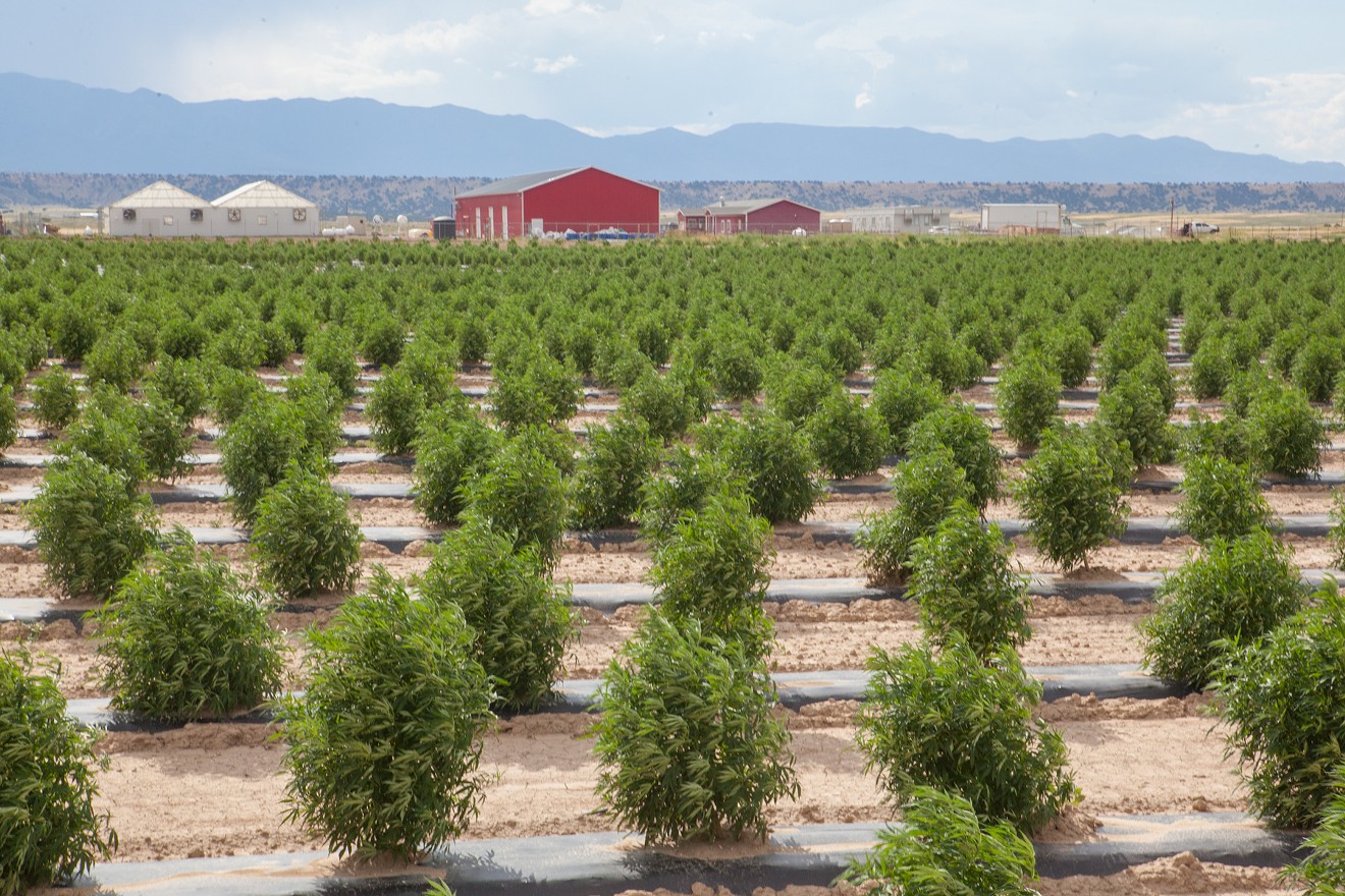 Veritas Farms is a sustainable hemp farm located in Pueblo, Colorado.