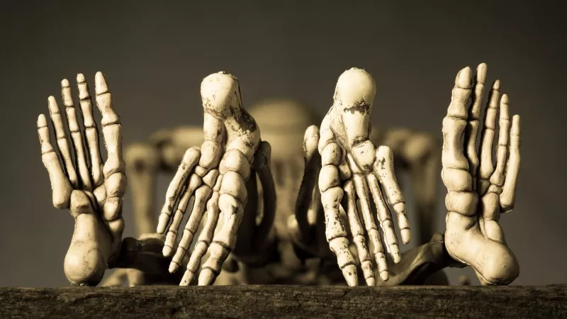 Image: Not Adam and Eve's skeletons, but an incredible simulation.