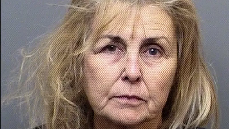 Image: The booking photo of Susan Holmes.